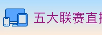 五大联赛直播 logo